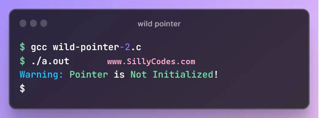 Wild Pointer In C Language With Example Programs Sillycodes