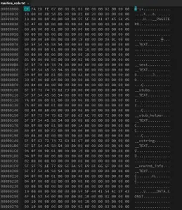 Machine Language or Binary Language/Code - SillyCodes image.