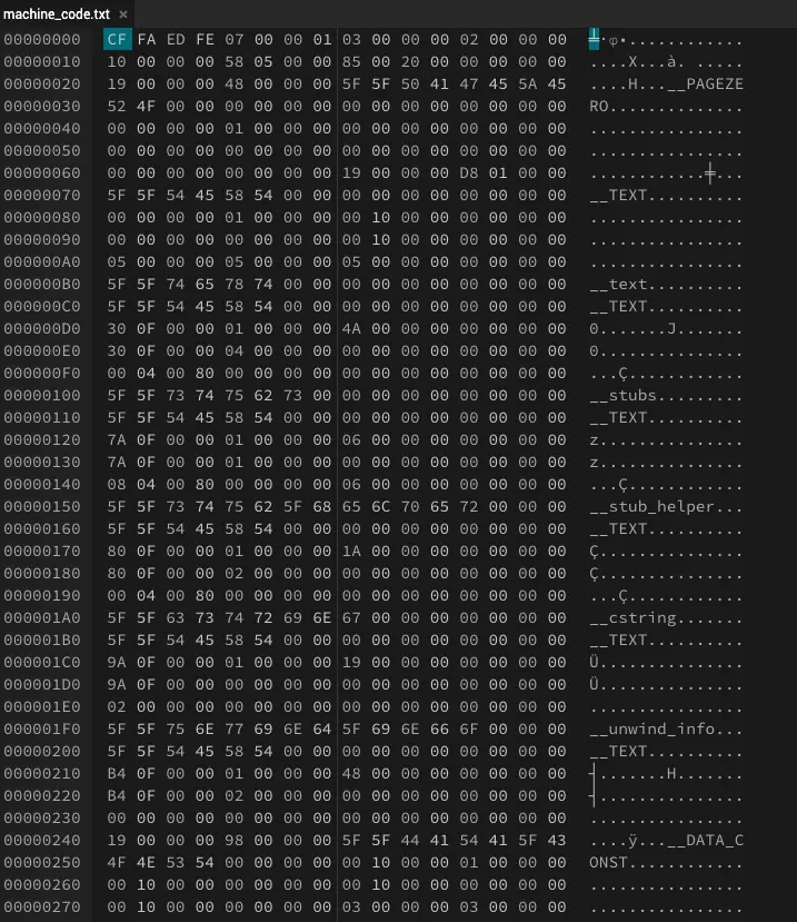 Machine-code-or-Binary-code-example
