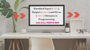 Standard Input (stdin), Output (stdout), And Error (stderr) Streams