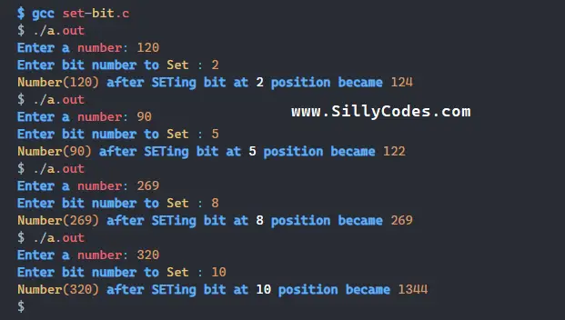 bit assignment in c