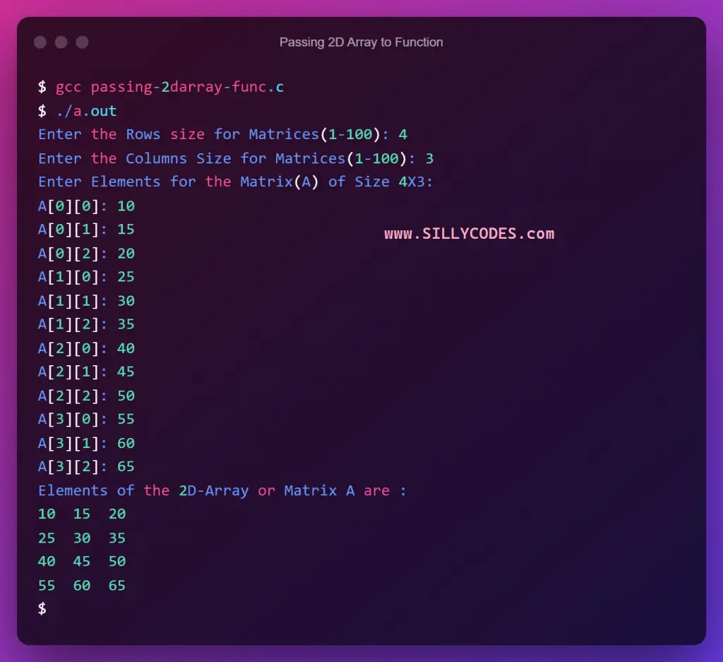 Passing-2d-Array-to-Function-in-C-Example-program-output