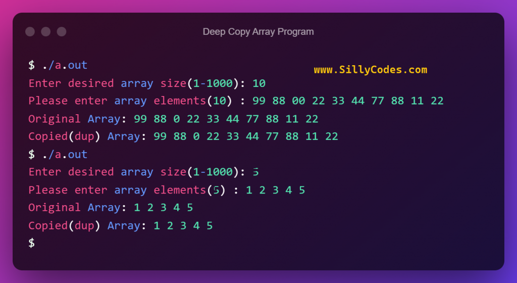 deep-copy-array-in-c-program-output