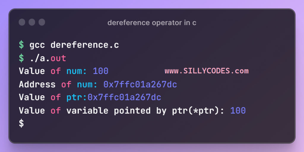 dereference-operator-in-c-language-program-output