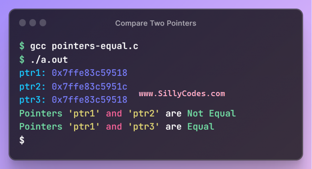 compare-two-pointers-in-c-program-output