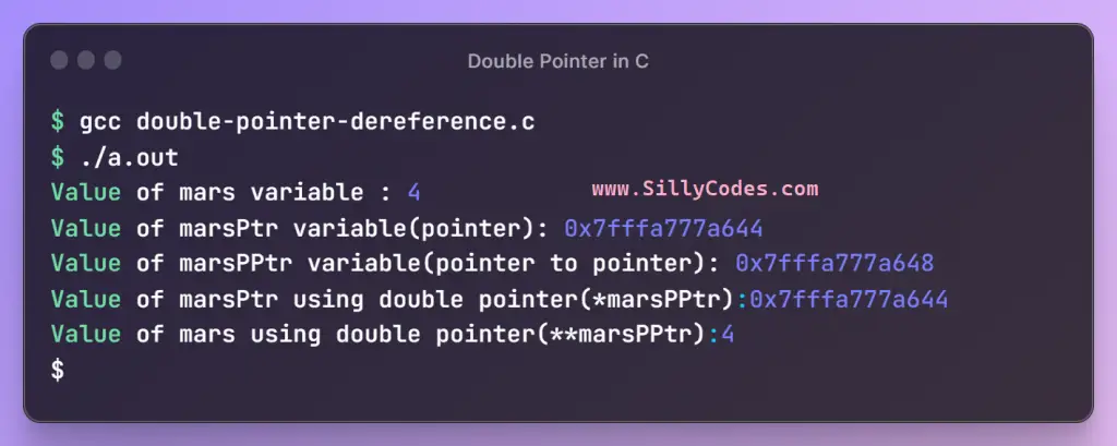 double-pointer-in-c-dereferencing-using-two-asterisks