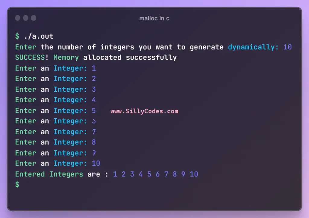 dynamic-memory-allocation-using-malloc-in-c-language