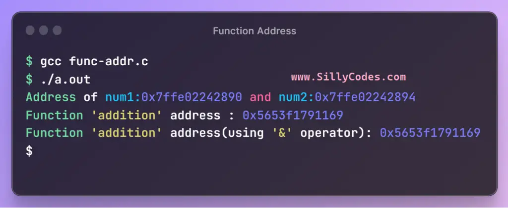 function-address-in-programming