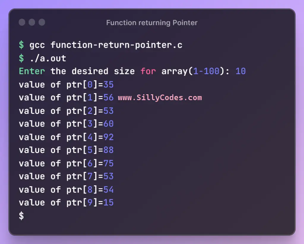 function-returning-pointer-in-c-program-output