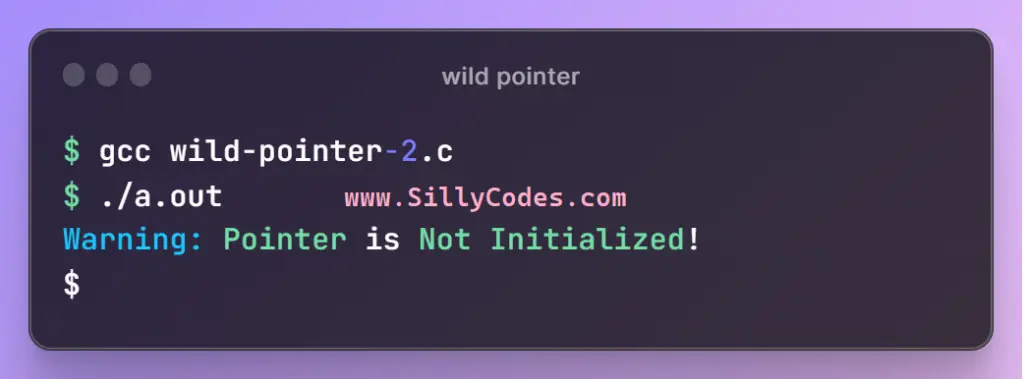 how-to-avoid-crashes-with-wild-pointer-in-c