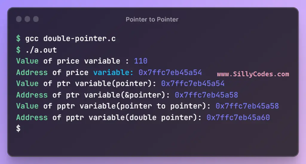 pointer-to-pointer-in-c-program-output