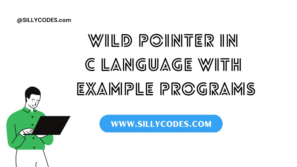 wild-pointer-in-c-programming-language